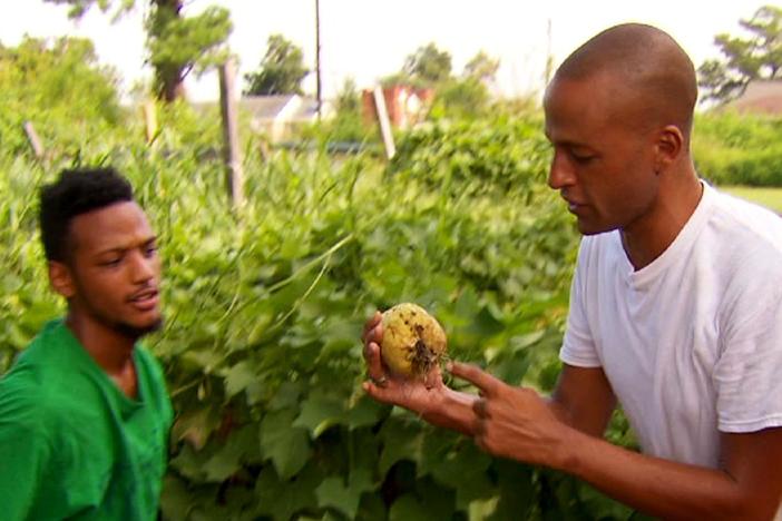 Communities without healthy food are a matter of both security and justice.