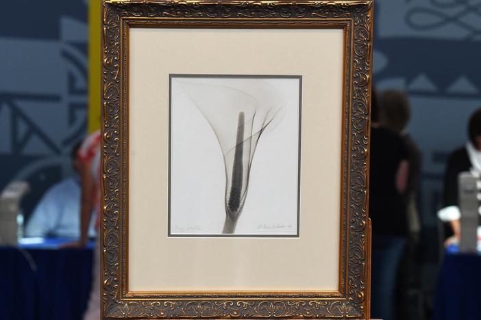 Appraisal: 1931 Dain Tasker "X-ray of a Lily" Photo