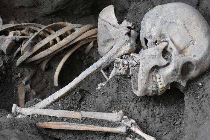 Join the final chapter of Pompeii’s largest excavation in a generation.