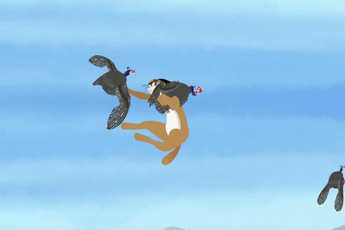 Chris and Martin encounter a hunting Caracal and see its jumping abilities.