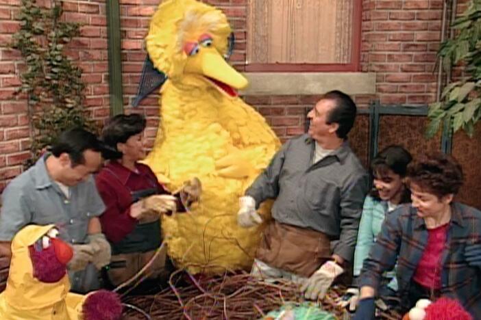 A hurricane blew through Sesame Street.
