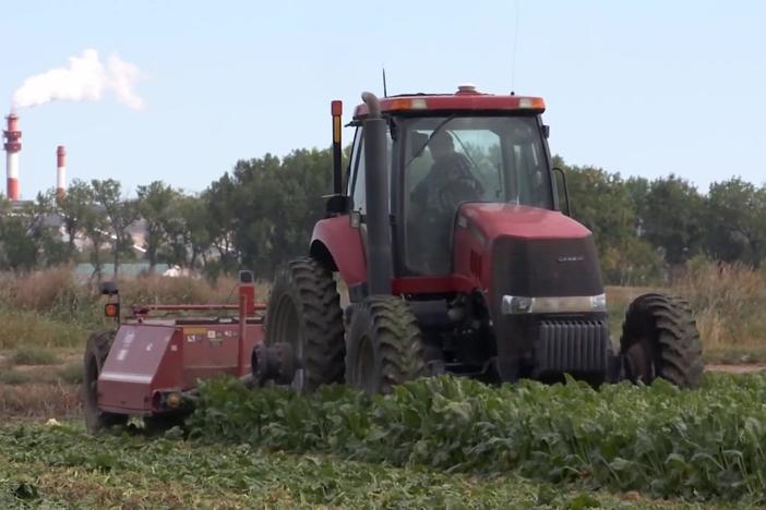 Rural Montana factory closure disrupts local economy, farming community