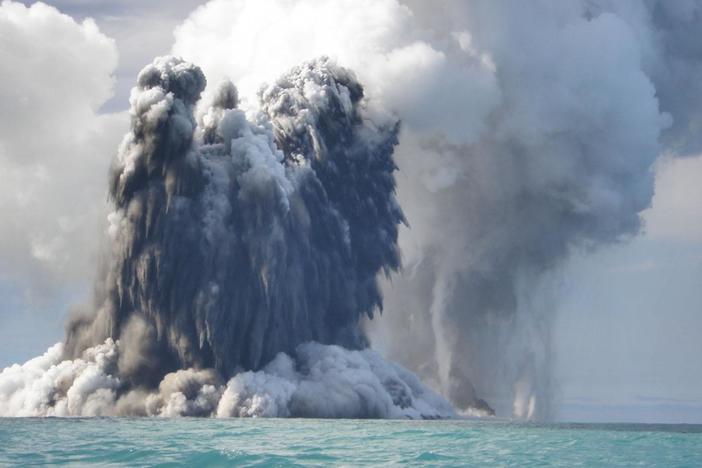 See how species have learned to cope with conditions in the Tongan archipelago.