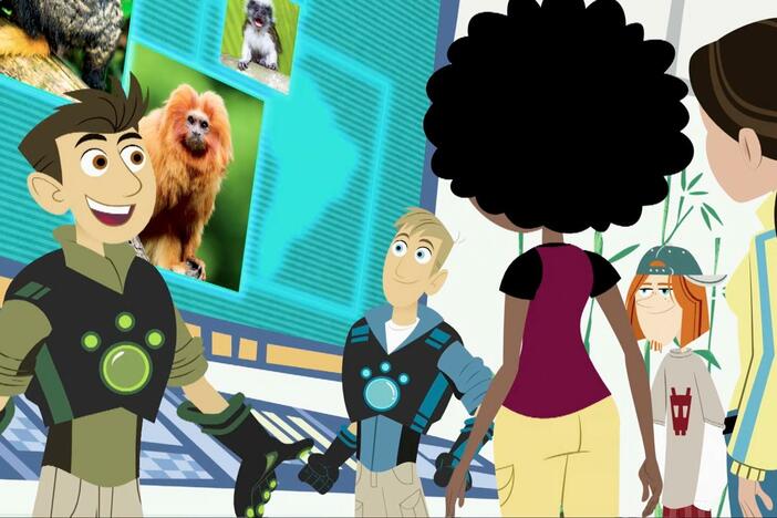 The Kratts team splits up to study monkeys.