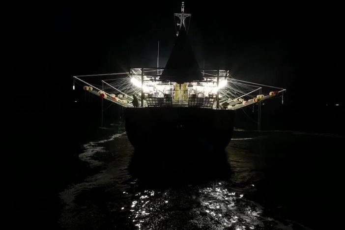 Investigation reveals Chinese seafood caught and processed using forced labor sold in U.S.