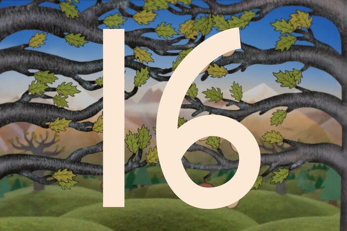 Join in and count out 16 acorns!