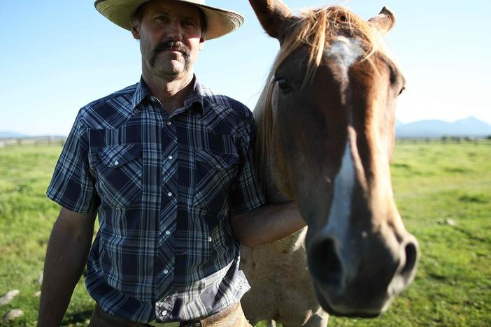 How ranchers are finding ways to live alongside wolves in Montana.