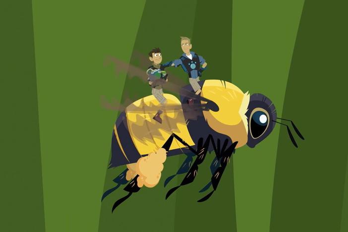 Martin and Chris go on a "mini" creature adventure and learn about bumblebees.