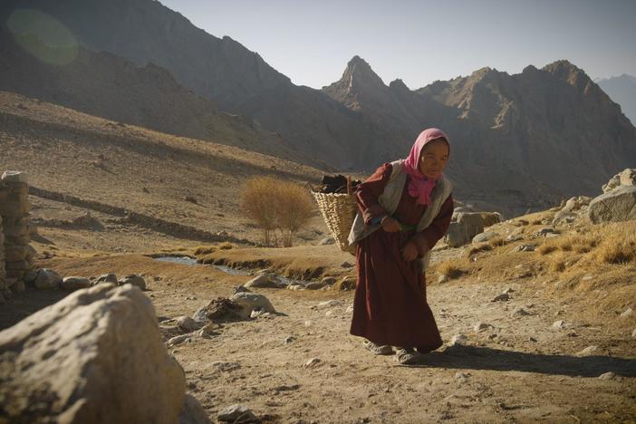 Explore the fragile relationship between snow leopards and the villagers near them.