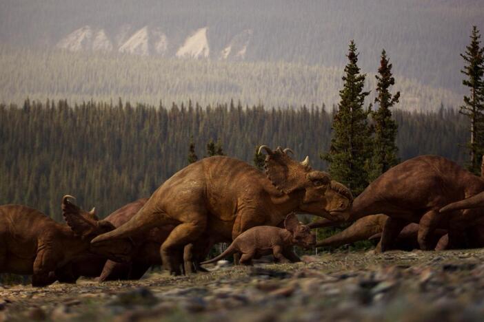 Very few dinosaurs made it as far North as the Arctic Circle...except for two.