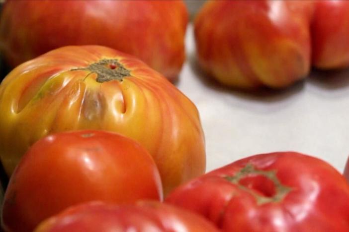 Vivian demonstrates her version of the tomato pie, a Southern Summer classic.