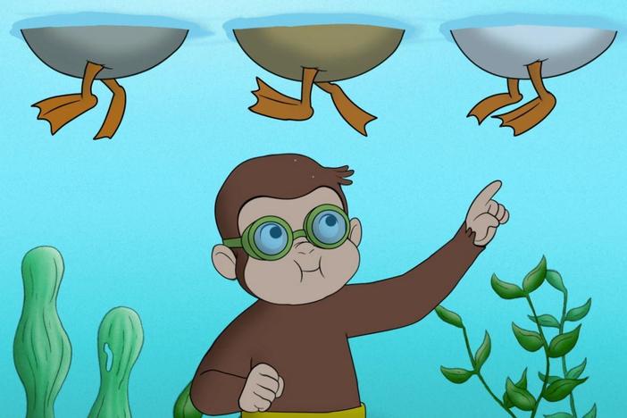 George and friends have a swimming race./George turns the apartment into a museum.