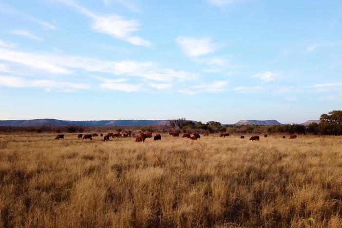 In the early 1900s, many Mexican-Americans lost their ranches to fraud and violence.