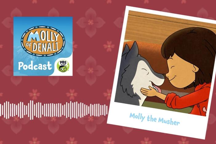 Molly agrees to take Tooey's place as a musher in the race because he isn't feeling well!
