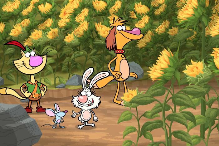 Daisy and her pals learn about sunflowers.