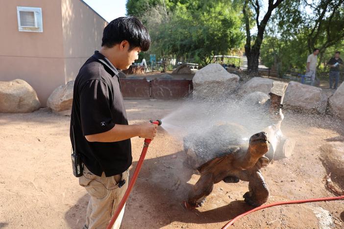 Heat Diaries: What it’s like living through Phoenix’s historic heat wave