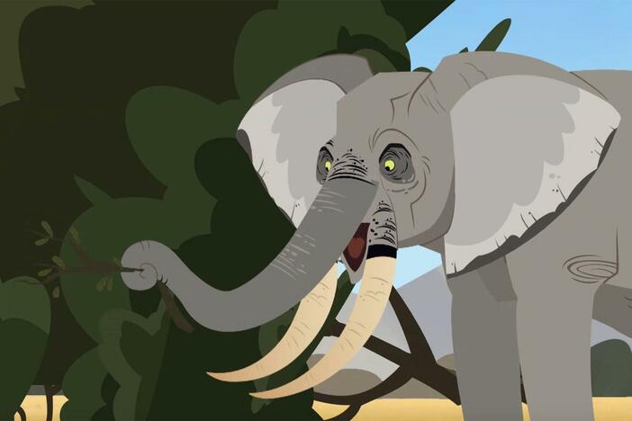 Chris and Martin encounter elephants spraying mud and sand on themselves to keep cool