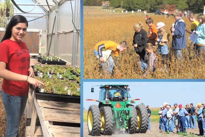 From the Fast Forward episode: Cogdell Berry Farm