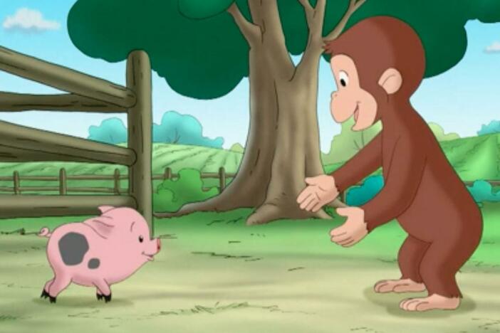 George takes care of the runt of a new pig litter./George has a recurring nightmare.