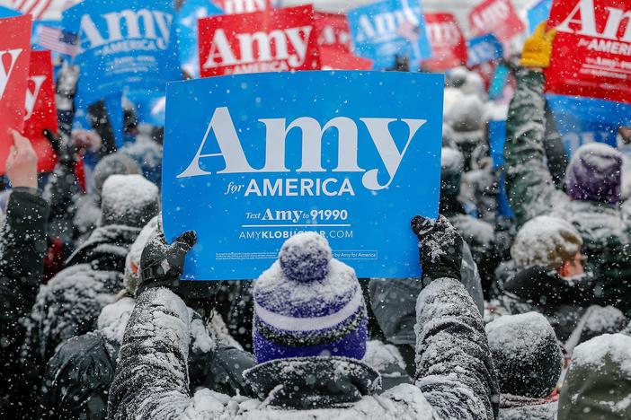 Democrats Klobuchar, Warren join crowded 2020 field