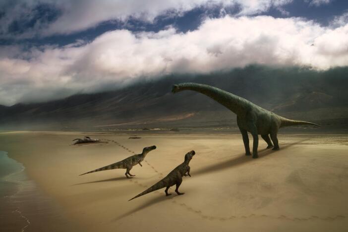 How did dinosaur fossils get there?