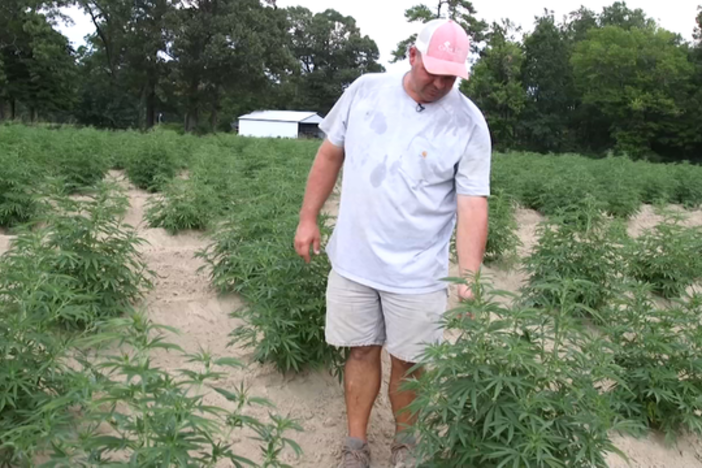 What's fueling the growth in North Carolina hemp production