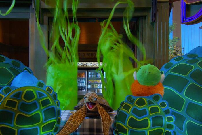Rudy and his friends on Sesame Street sing a song about the importance of a turtle's shell