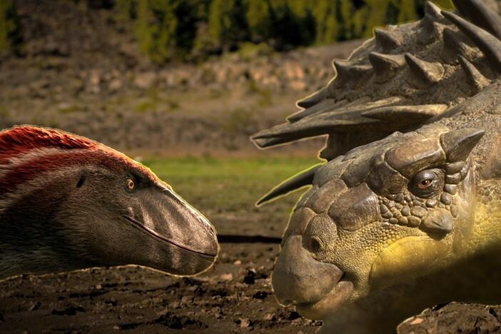 It’s grudge match time. Except that this one took place over millions of years.