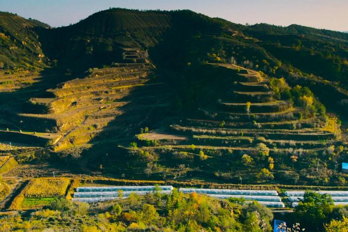 In 1994, workers took part in the rehabilitation of the Loess Plateau landscape.