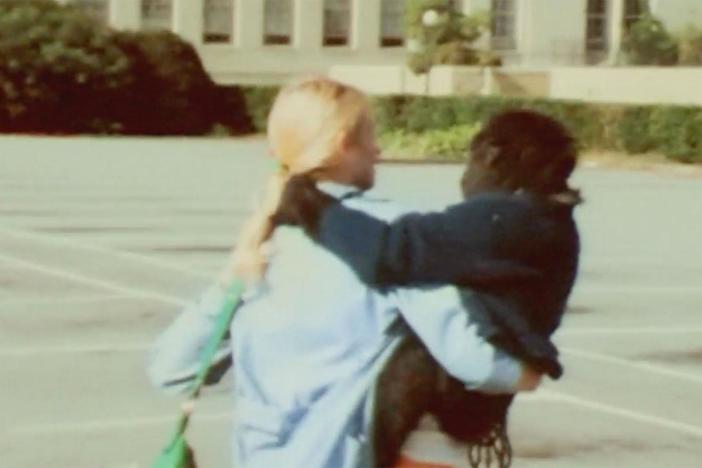 Penny moved Koko from San Francisco Zoo to Stanford, where their communication work began.