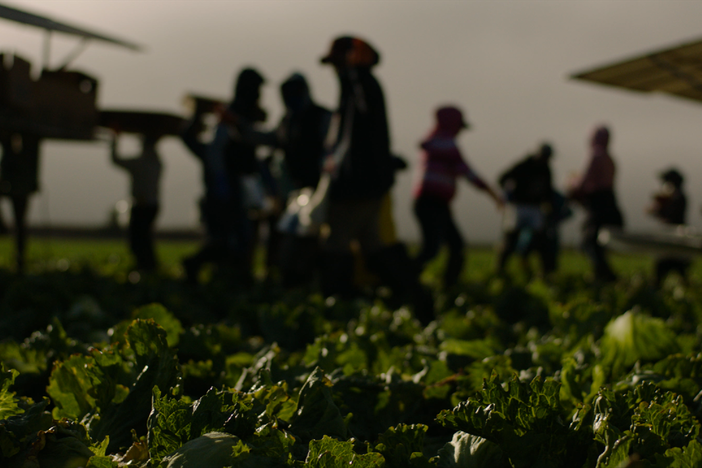 How the COVID crisis has hit vulnerable immigrants and undocumented workers.