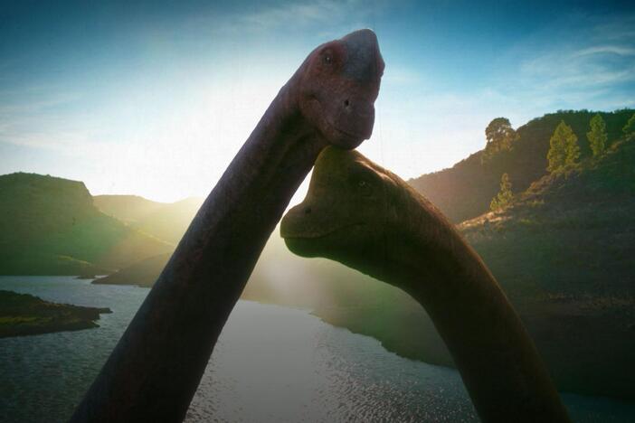 How did sauropods, uniquely large land animals, actually live, with their anatomy and physiology pus