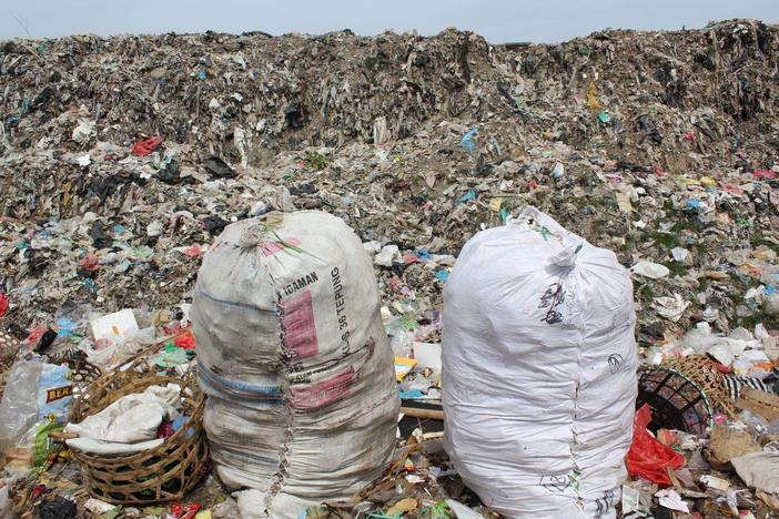 How can individuals combat plastic pollution?