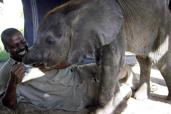 It's not always easy getting a baby to eat.