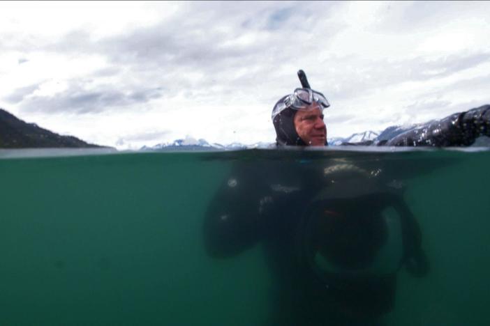 The Wild Alaska Live team heads out to find one of the area’s least known predators.
