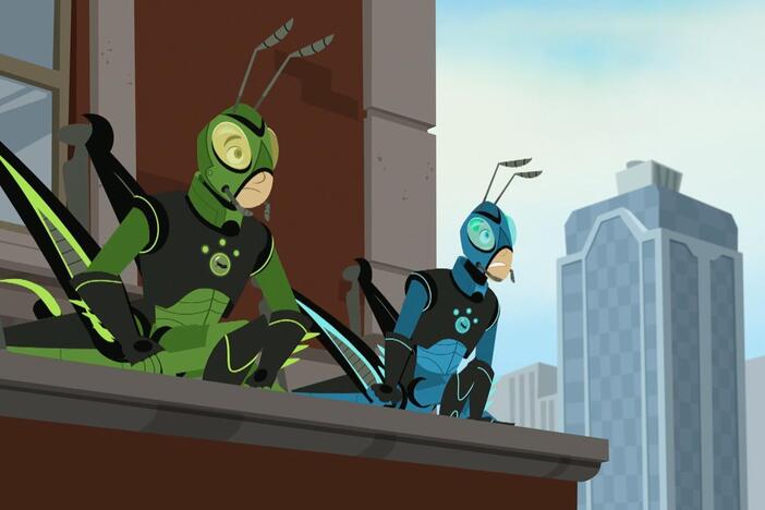 The Kratt bros learn about the grasshopper's amazing jumping powers!