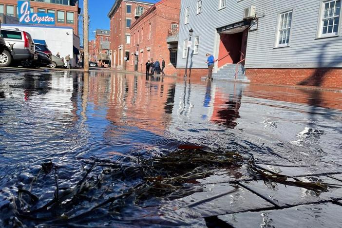 Barely a cloud in the sky and Portland, Maine is flooding