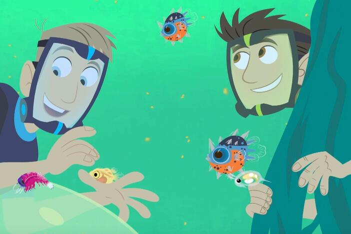 Martin and Chris miniaturize underwater and become the size of plankton.