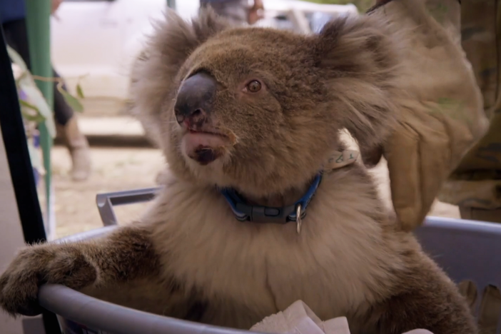 Go behind the scenes with the filmmakers of Australian Bushfire Rescue.