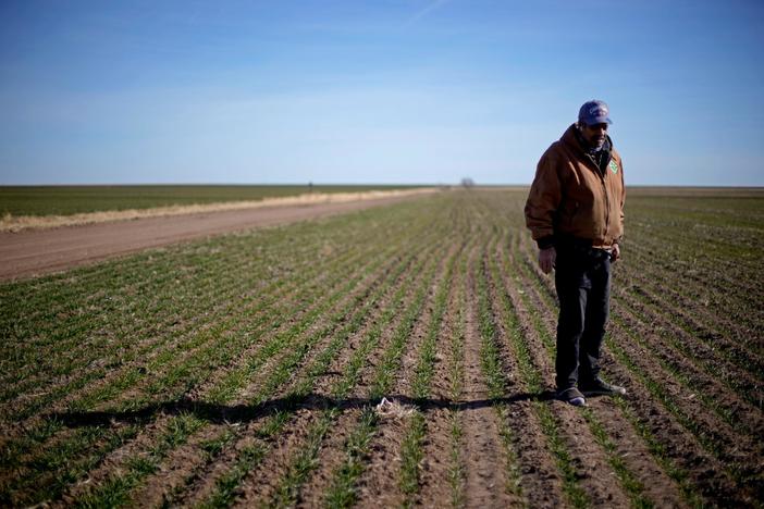 ‘Gaining Ground’ highlights efforts to reclaim land taken from Black farmers