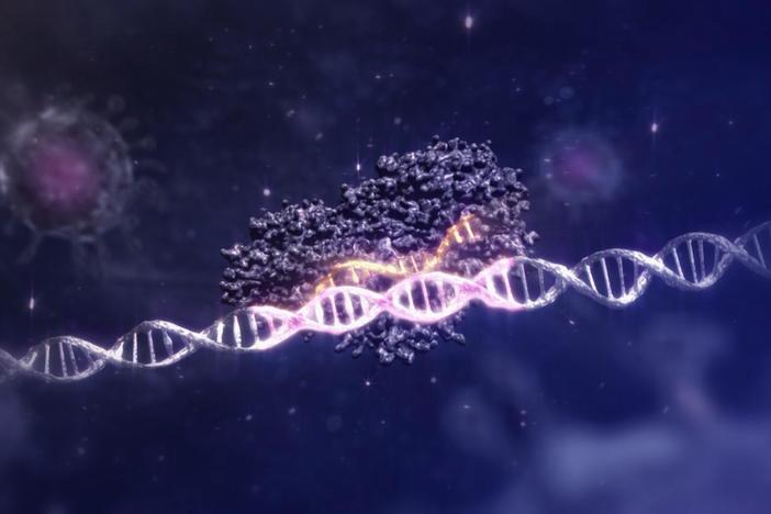 CRISPR makes gene editing faster, cheaper, and easier than ever before. Here's how.