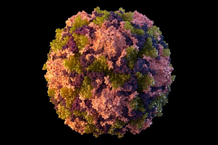 Public health experts sound the alarm as new polio cases emerge