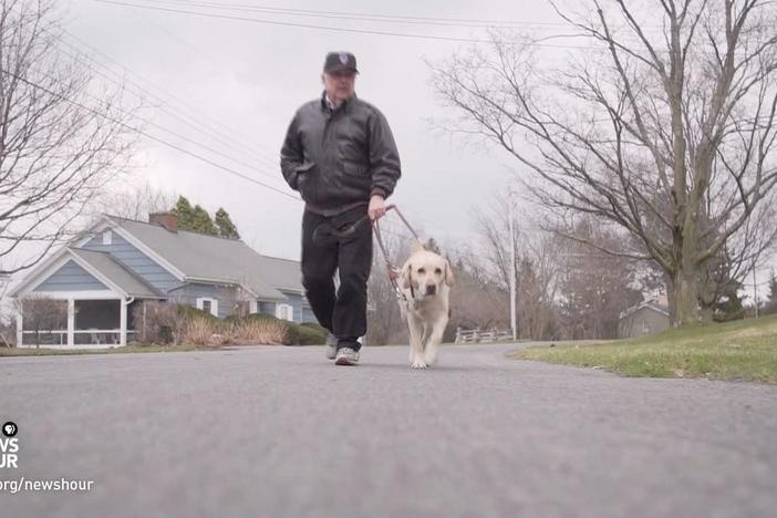 This poet's guide dog helped him discover a new world