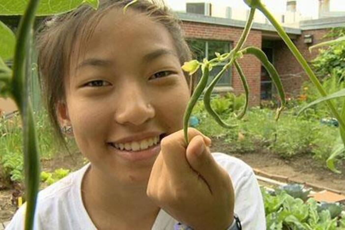 Kids in the CitySprouts community garden program plant and harvest vegetables.