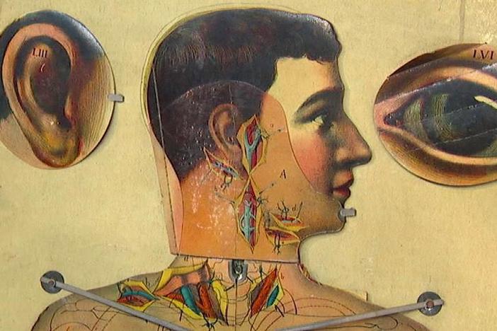 Appraisal: Physiological Mannequin