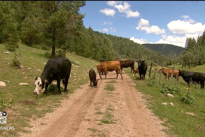 New Mexico ranchers say battle over water rights jeopardizes their livelihood