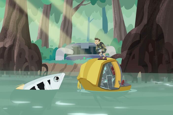Martin investigates a pink flash while Chris gets ready to join the archerfish school.
