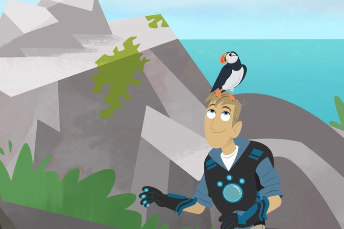 Martin is stranded on an island with some new creature friends - puffins!