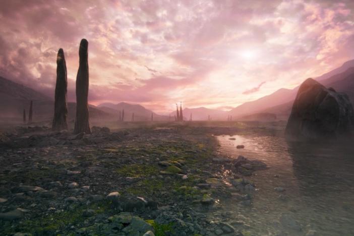 Fossils show that millions of years ago, 20-foot-high fungi grew on Earth.
