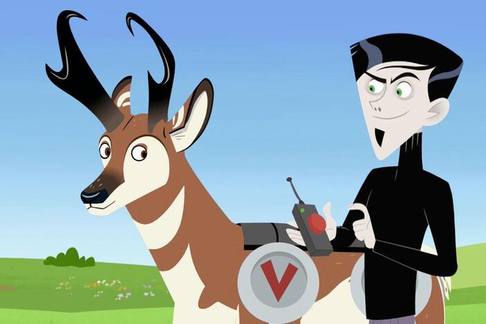 Zach kidnaps Pacer for his latest invention.  Can Chris and Martin rescue Pacer from Zach?